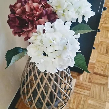 Apartamento Araceli Proximo A Clinica Oftalmologica Fdez Vega *